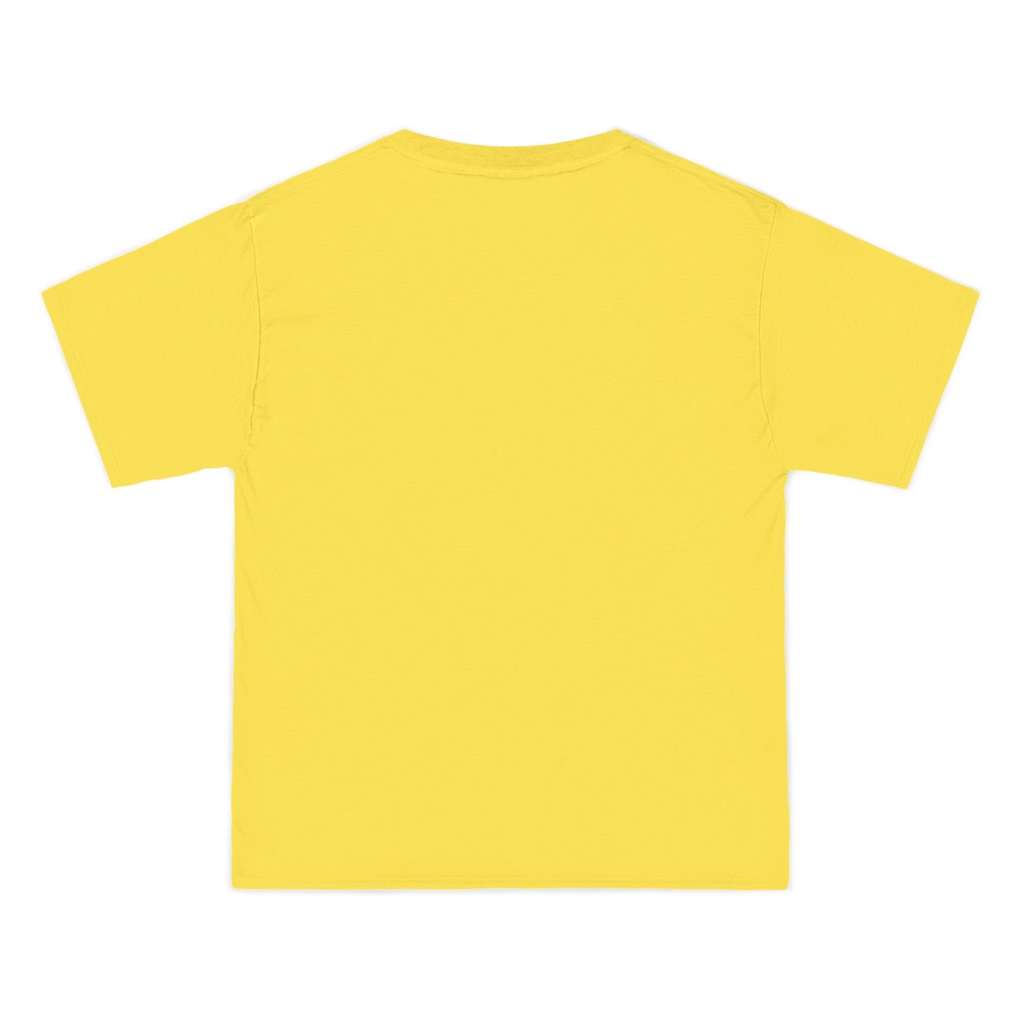 BEEFY TEE SHIRT - MOUNTAINS