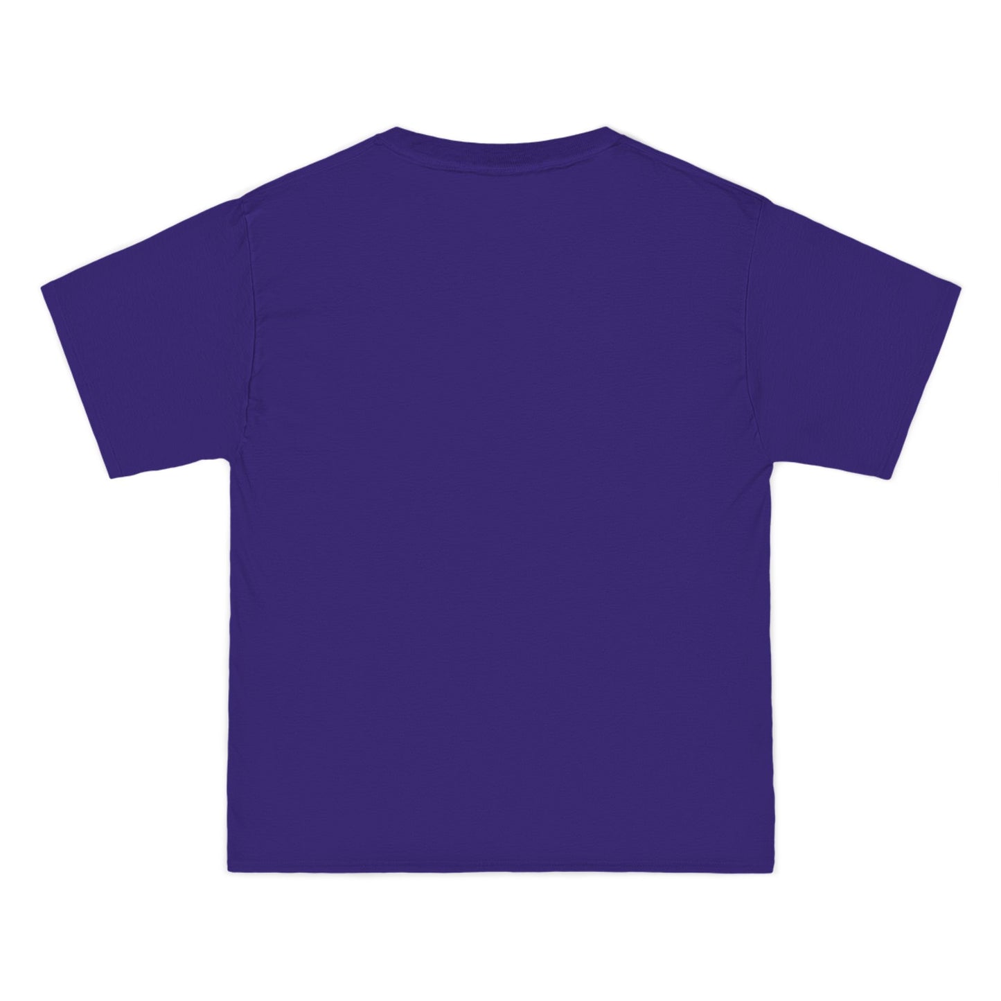 BEEFY TEE SHIRT - MOUNTAINS